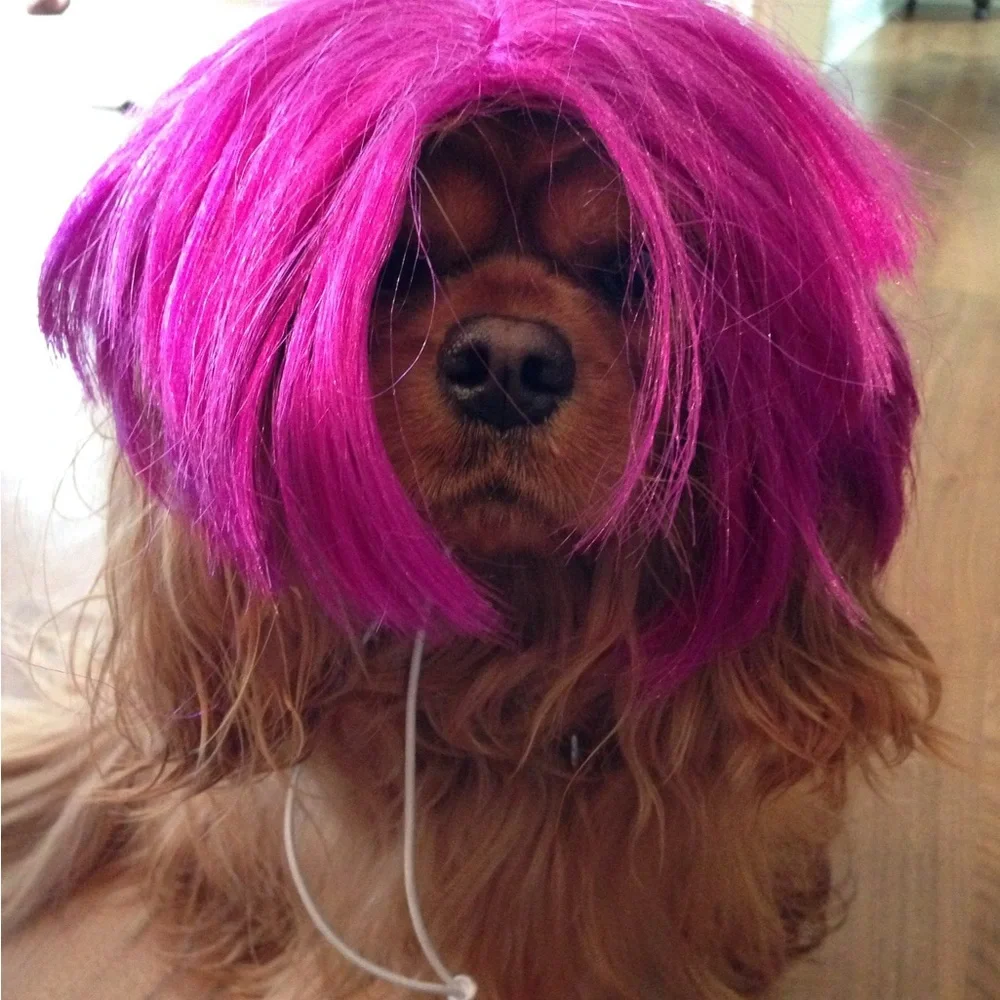Pink and Green Halloween Dog Wigs